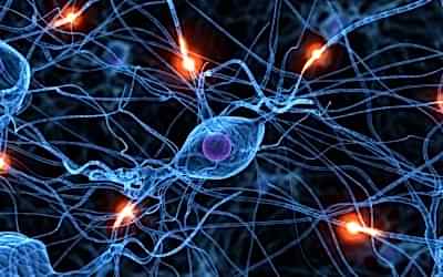 La frontera entre neurociencia y neurotecnología ha sido superada