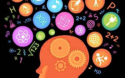 Nuestro cerebro cambia con cada experiencia